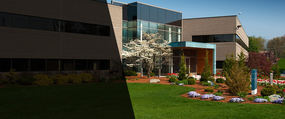 Ionia Landscapers