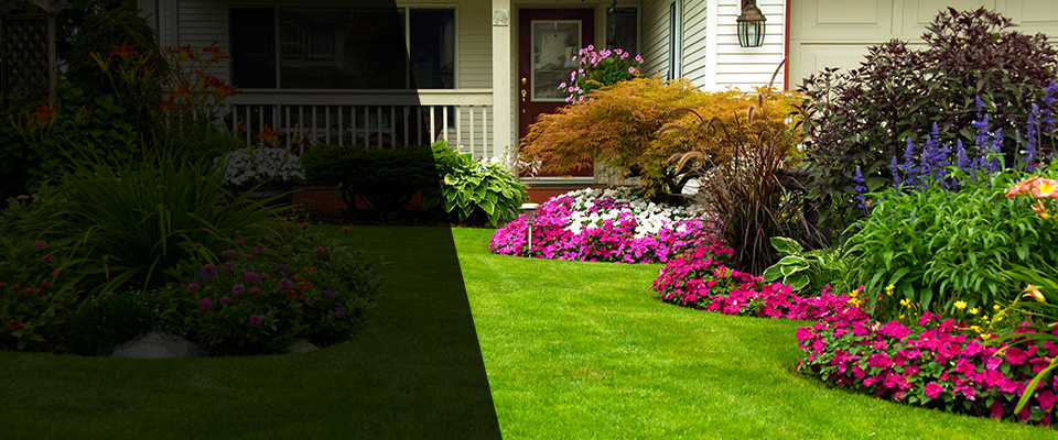 Ionia Landscapers