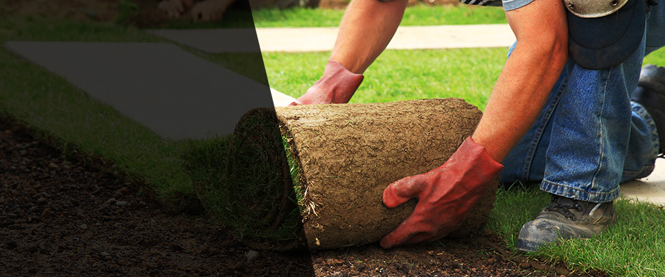 Ionia Landscapers